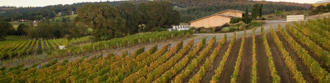 List Page Learn About Content Graphic