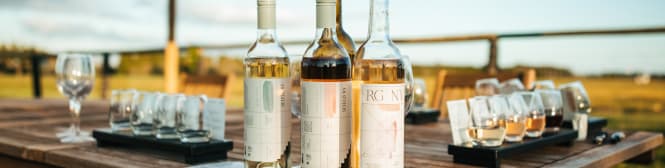 List Page Learn About Content Graphic