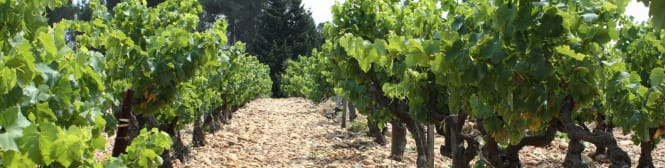 List Page Learn About Content Graphic