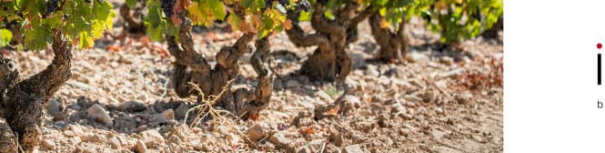 List Page Learn About Content Graphic