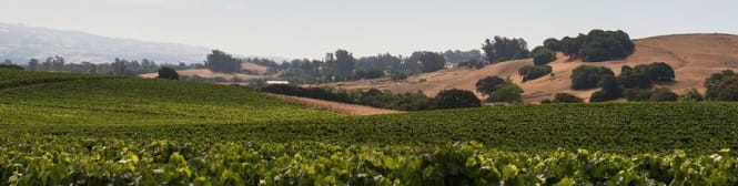 List Page Learn About Content Graphic