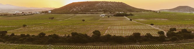 List Page Learn About Content Graphic