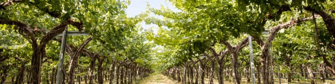 List Page Learn About Content Graphic