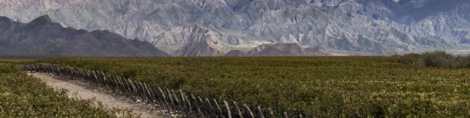 List Page Learn About Content Graphic