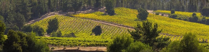 List Page Learn About Content Graphic