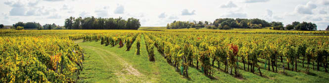 List Page Learn About Content Graphic