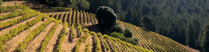 List Page Learn About Content Graphic