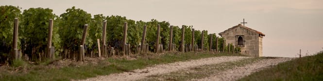 List Page Learn About Content Graphic