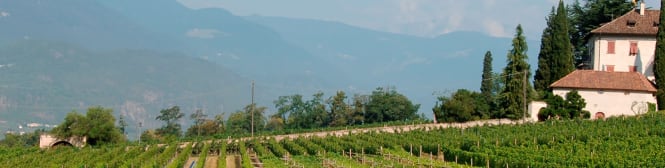 List Page Learn About Content Graphic