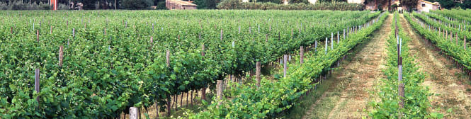 List Page Learn About Content Graphic