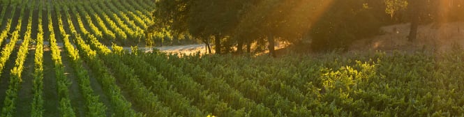 List Page Learn About Content Graphic