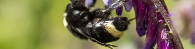 List Page Learn About Content Graphic