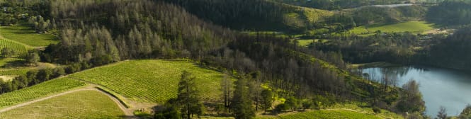 List Page Learn About Content Graphic