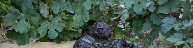 List Page Learn About Content Graphic