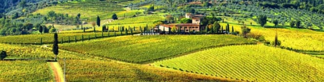 List Page Learn About Content Graphic