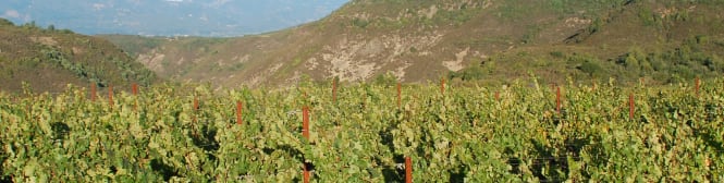 List Page Learn About Content Graphic