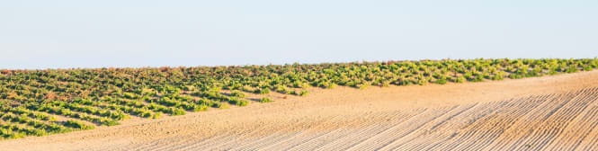 List Page Learn About Content Graphic