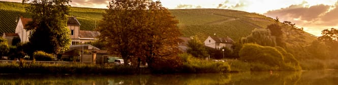 List Page Learn About Content Graphic