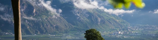 List Page Learn About Content Graphic