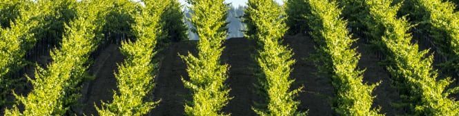 List Page Learn About Content Graphic