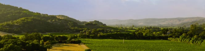 List Page Learn About Content Graphic