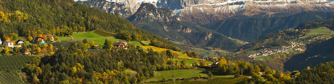 List Page Learn About Content Graphic