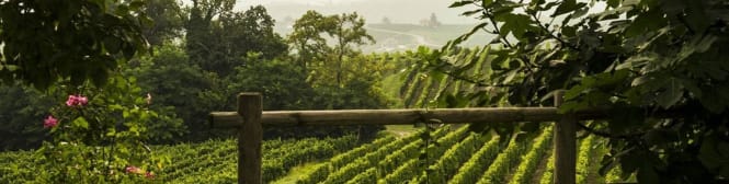 List Page Learn About Content Graphic