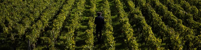 List Page Learn About Content Graphic