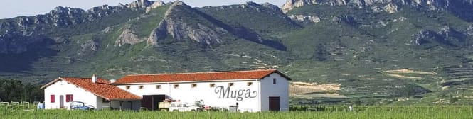 List Page Learn About Content Graphic