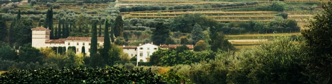 List Page Learn About Content Graphic