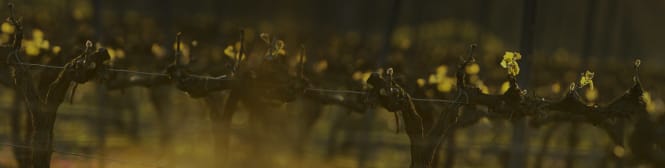 List Page Learn About Content Graphic