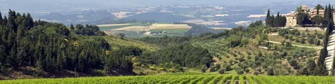 List Page Learn About Content Graphic