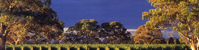 List Page Learn About Content Graphic