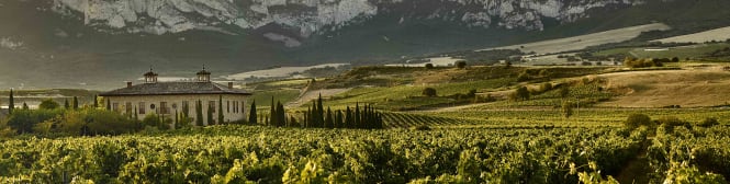 List Page Learn About Content Graphic