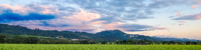 List Page Learn About Content Graphic