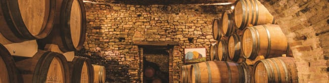 List Page Learn About Content Graphic