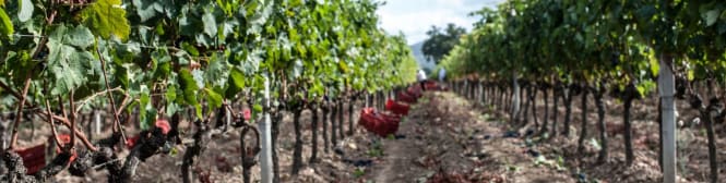 List Page Learn About Content Graphic