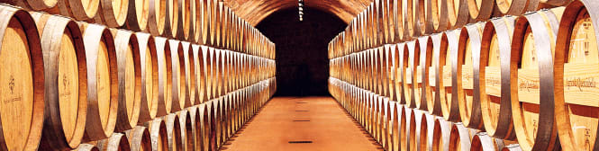 List Page Learn About Content Graphic