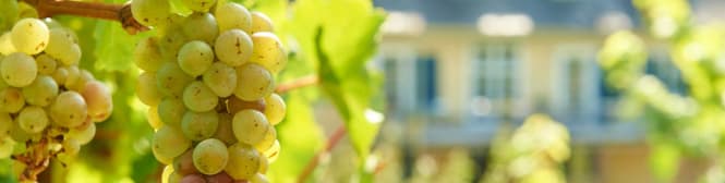 List Page Learn About Content Graphic