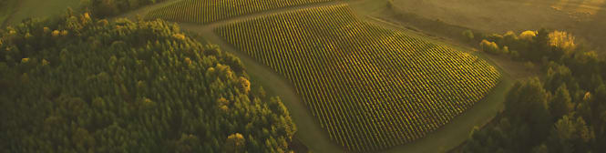 List Page Learn About Content Graphic