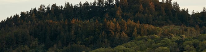 List Page Learn About Content Graphic