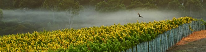 List Page Learn About Content Graphic