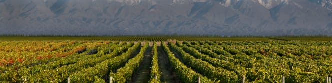 List Page Learn About Content Graphic