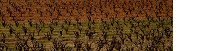 List Page Learn About Content Graphic