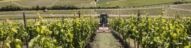 List Page Learn About Content Graphic