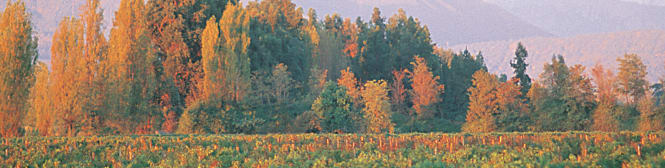 List Page Learn About Content Graphic