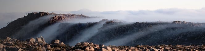 List Page Learn About Content Graphic