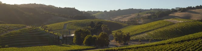 List Page Learn About Content Graphic