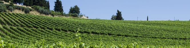 List Page Learn About Content Graphic