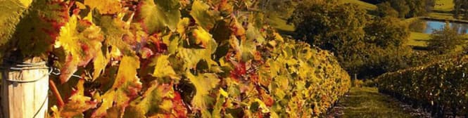 List Page Learn About Content Graphic